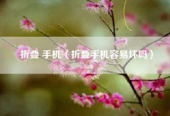 折叠 手机（折叠手机容易坏吗）