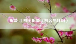 折叠 手机（折叠手机容易坏吗）