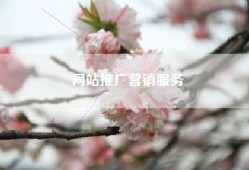 网站推广营销服务