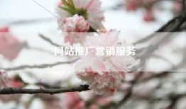 网站推广营销服务