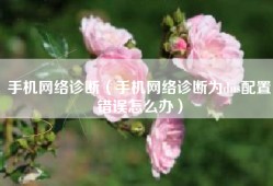 手机网络诊断（手机网络诊断为dns配置错误怎么办）