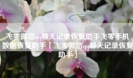 飞零微信qq聊天记录恢复助手飞零手机数据恢复助手「飞零微信qq聊天记录恢复助手」