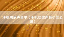 手机功放声音小（手机功放声音小怎么调）