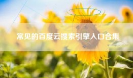 常见的百度云搜索引擎入口合集