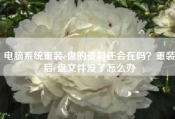 电脑系统重装e盘的资料还会在吗？重装后e盘文件没了怎么办
