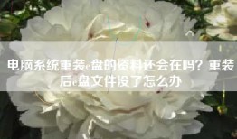 电脑系统重装e盘的资料还会在吗？重装后e盘文件没了怎么办