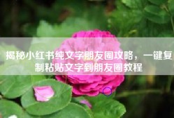揭秘小红书纯文字朋友圈攻略，一键复制粘贴文字到朋友圈教程