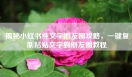 揭秘小红书纯文字朋友圈攻略，一键复制粘贴文字到朋友圈教程
