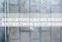 鱼的视力都特别好还是近视眼 神奇海洋鱼类的描述正确的是(鱼的视力都特别弱吗)