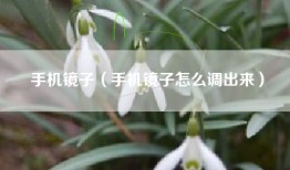 手机镜子（手机镜子怎么调出来）
