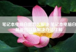 笔记本电脑白屏怎么解决 笔记本电脑白屏原因以及解决办法详解