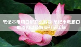 笔记本电脑白屏怎么解决 笔记本电脑白屏原因以及解决办法详解