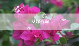 艾媒咨询