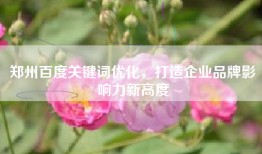 郑州百度关键词优化，打造企业品牌影响力新高度