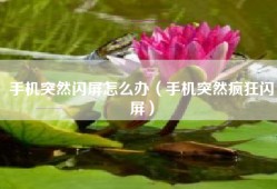 手机突然闪屏怎么办（手机突然疯狂闪屏）
