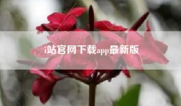 i站官网下载app最新版
