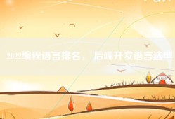 2022编程语言排名， 后端开发语言选型