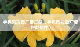 手机浏览器广告拦截（手机浏览器广告拦截插件）