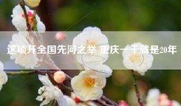 这项开全国先河之举 重庆一干就是20年