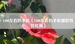 1300左右的手机（1300左右的手机哪款性价比高）