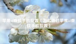 苹果id查找手机位置（怎么通过苹果id查找手机位置）