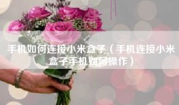 手机如何连接小米盒子（手机连接小米盒子手机如何操作）