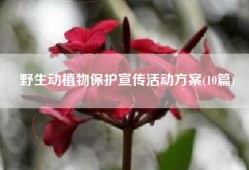 野生动植物保护宣传活动方案(10篇)