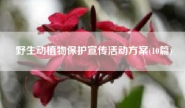 野生动植物保护宣传活动方案(10篇)