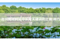 如何优化网站中长尾关键词的正确5种方法