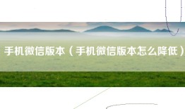手机微信版本（手机微信版本怎么降低）