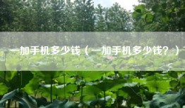 一加手机多少钱（一加手机多少钱？）