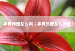 手机网速怎么测（手机网速怎么测速）