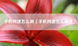 手机网速怎么测（手机网速怎么测速）