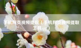 手机网页视频提取（手机网页视频提取工具app）