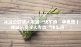 冰城公交驶入发展“快车道”手机查「冰城公交驶入发展“快车道”」