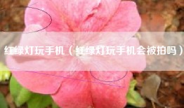 红绿灯玩手机（红绿灯玩手机会被拍吗）