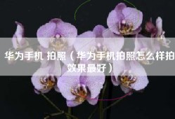 华为手机 拍照（华为手机拍照怎么样拍效果最好）