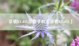 京瓷KY-01L京瓷手机「京瓷KY-01L」