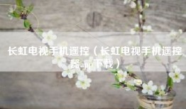 长虹电视手机遥控（长虹电视手机遥控器app下载）