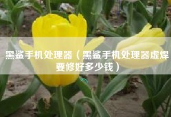 黑鲨手机处理器（黑鲨手机处理器虚焊要修好多少钱）