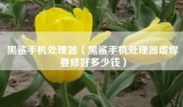 黑鲨手机处理器（黑鲨手机处理器虚焊要修好多少钱）