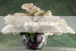 滴答出行司机端