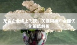 龙岩企业线上飞跃，关键词推广全面优化策略解析