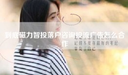 到底磁力智投落户咨询投流广告怎么合作