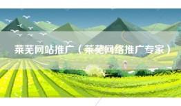 莱芜网站推广（莱芜网络推广专家）