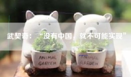 武契奇：“没有中国，就不可能实现”