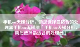 手机soc天梯分析,助您选择最适合的处理器手机soc天梯图「手机soc天梯分析,助您选择最适合的处理器」