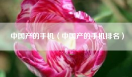 中国产的手机（中国产的手机排名）