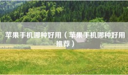 苹果手机哪种好用（苹果手机哪种好用推荐）
