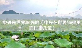 中兴是世界500强吗（中兴在世界500强里面排第几位）